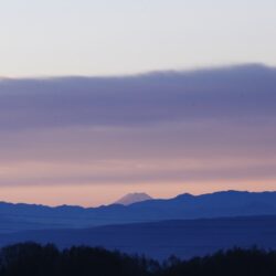 富士山を望む_2019睦月